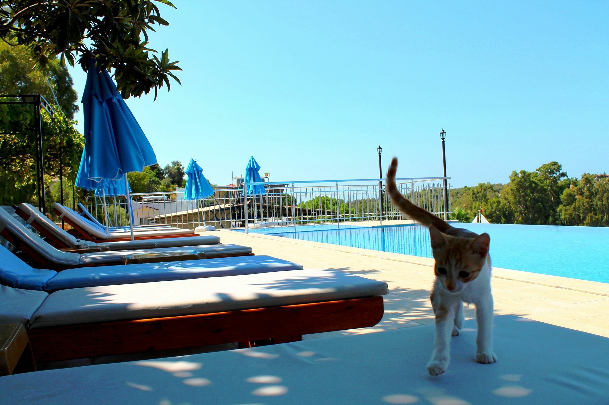 Hotel Patara Sun Club Bagian luar foto
